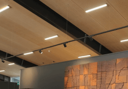 Commercial workspace with professionally installed lighting